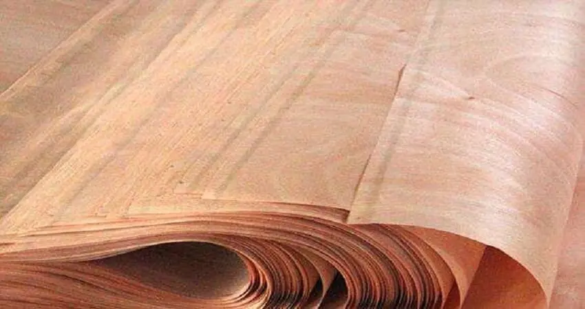 Gurjan Veneer Manufacturer in Bareilly