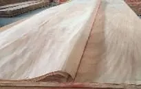 Veneer Jaipur